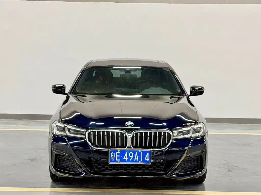 BMW 5 Series — миниатюра 2