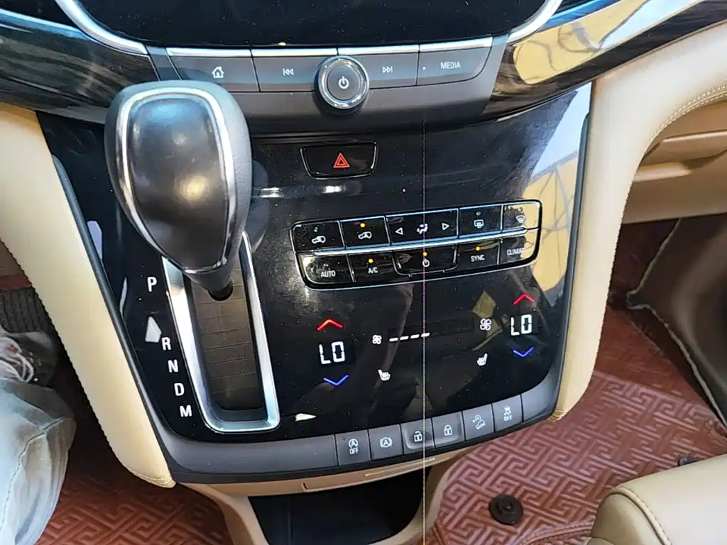 Buick GL8 — миниатюра 14