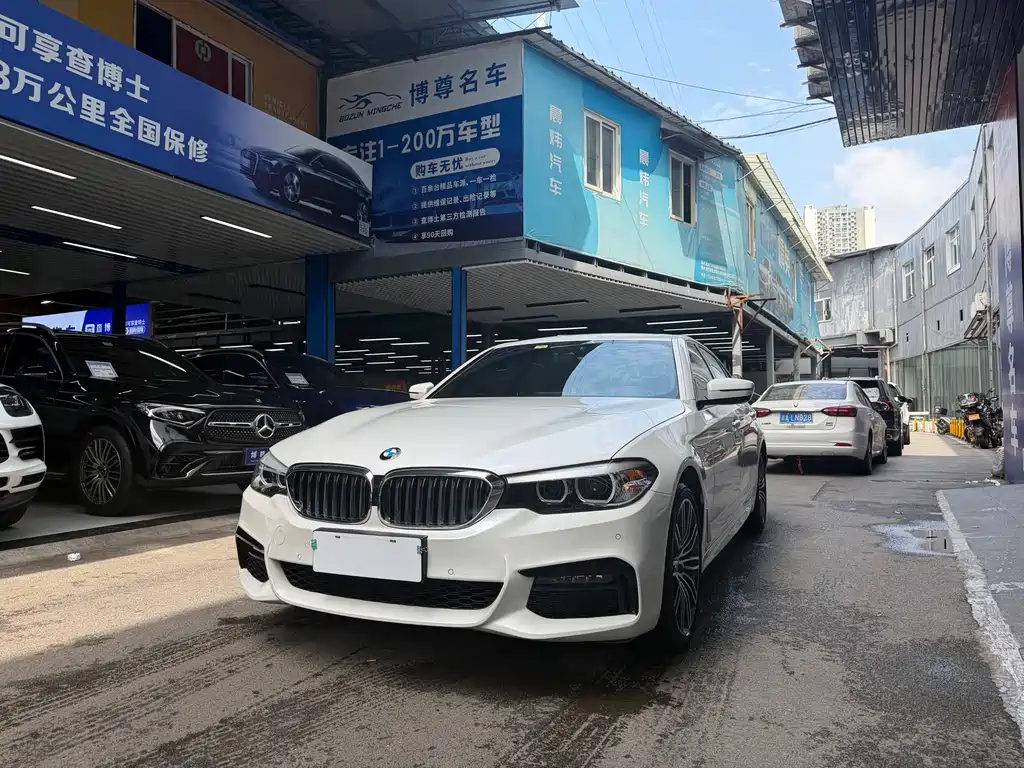 BMW 5 Series 2019