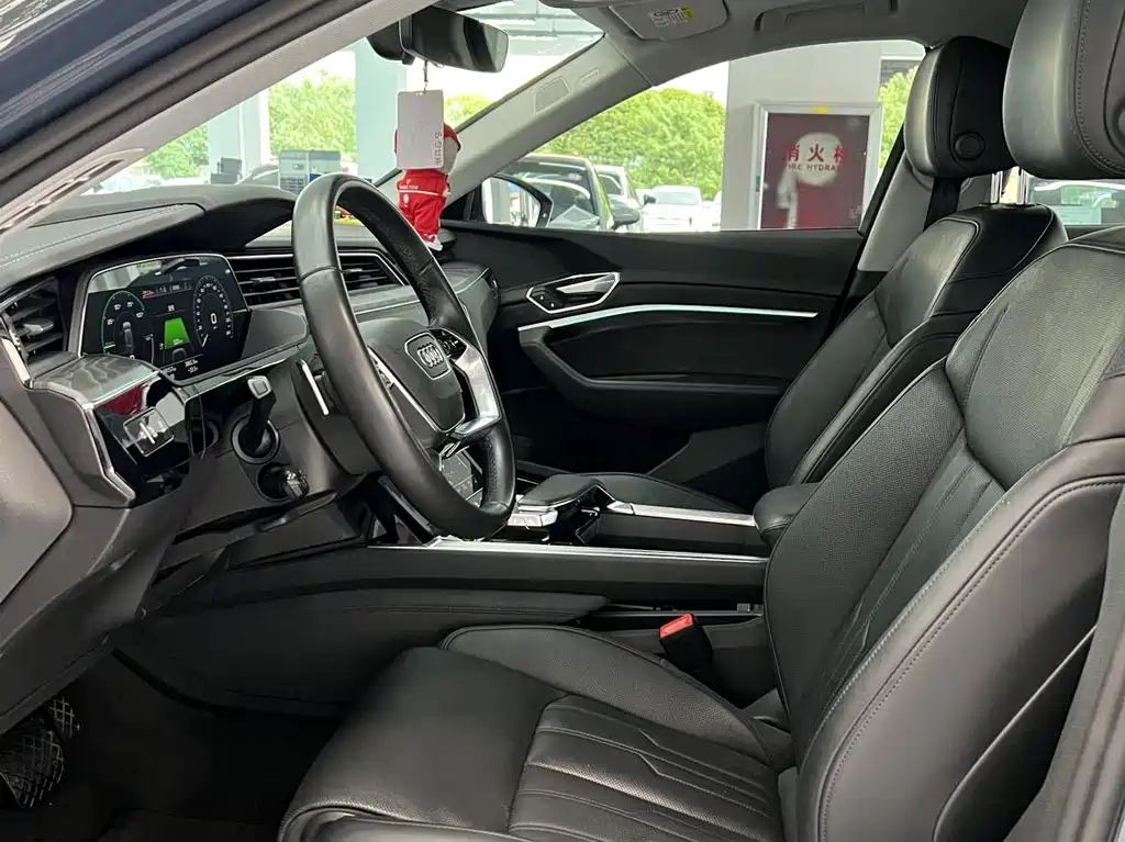 Audi e-tron (Import) — миниатюра 11