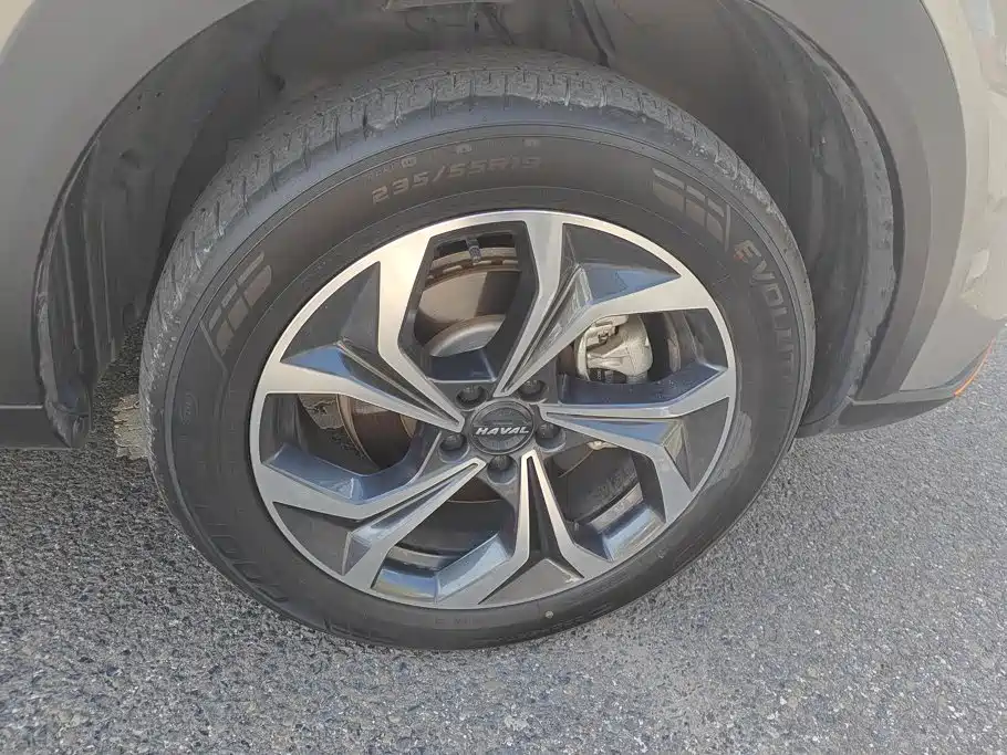 Haval Shenshou — миниатюра 6