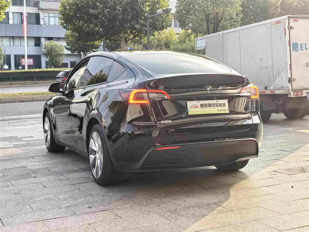 Tesla Model Y — миниатюра 9