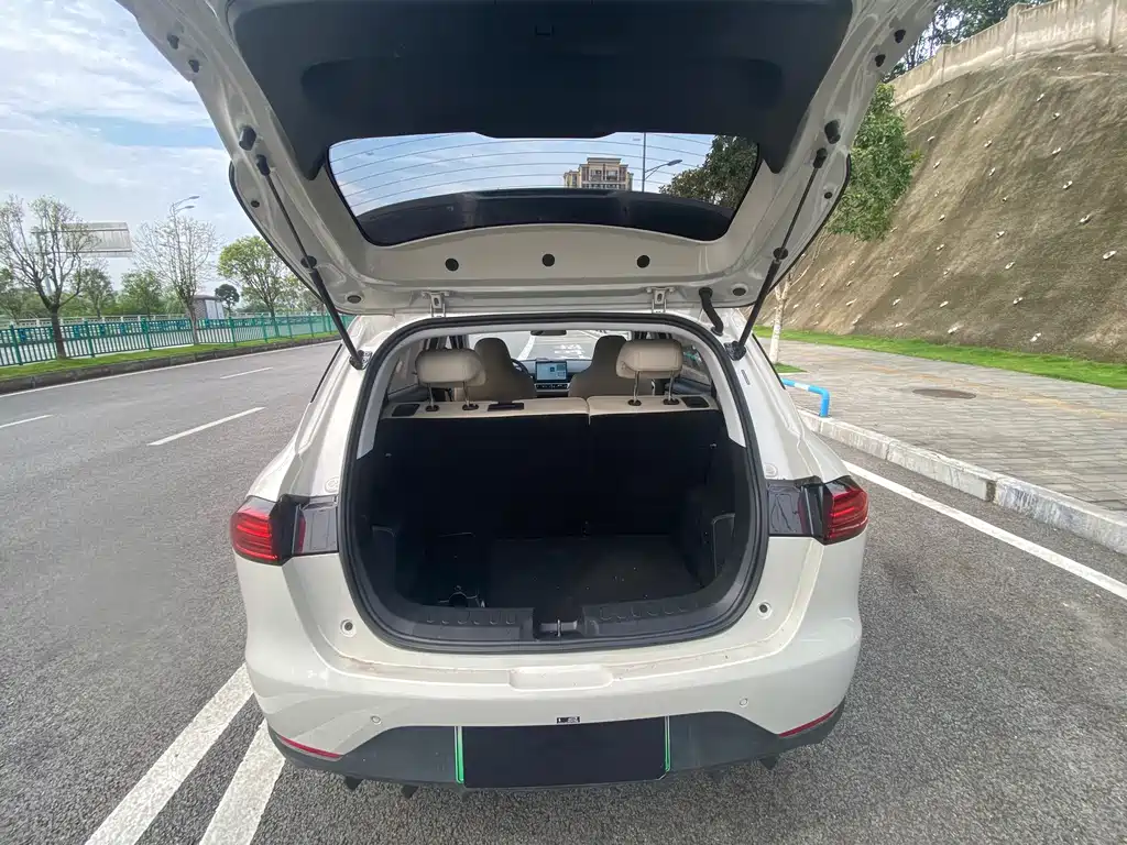 Wuling BinguoPLUS PLUS 2024 330km мест