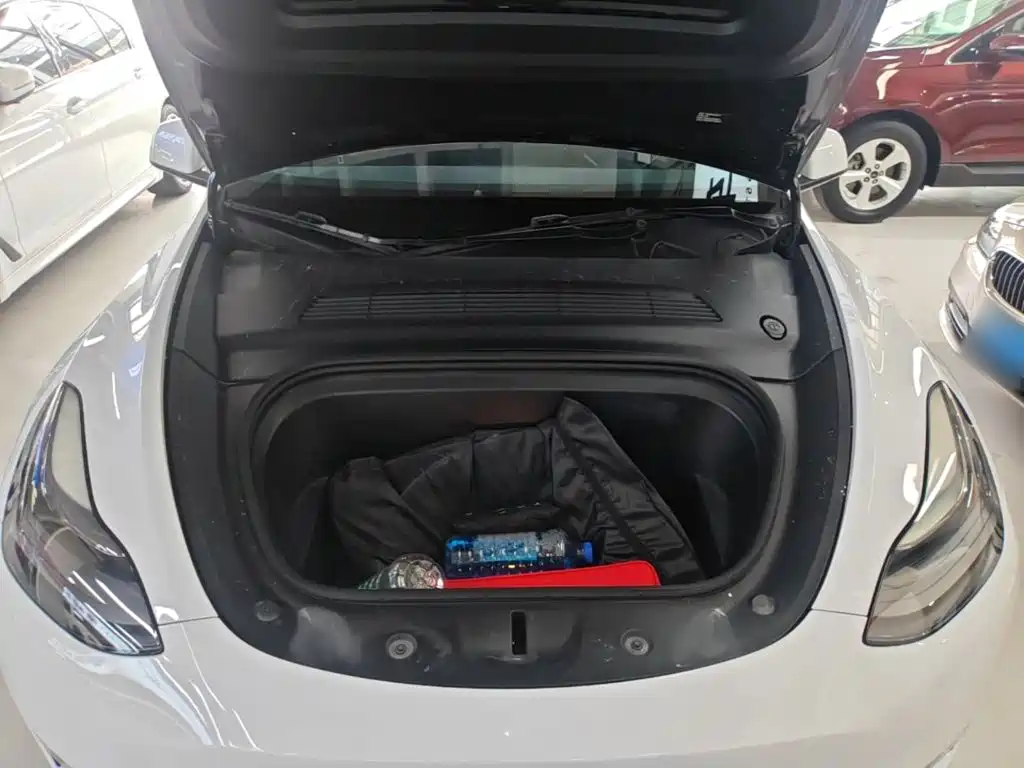 Tesla Model Y — миниатюра 20