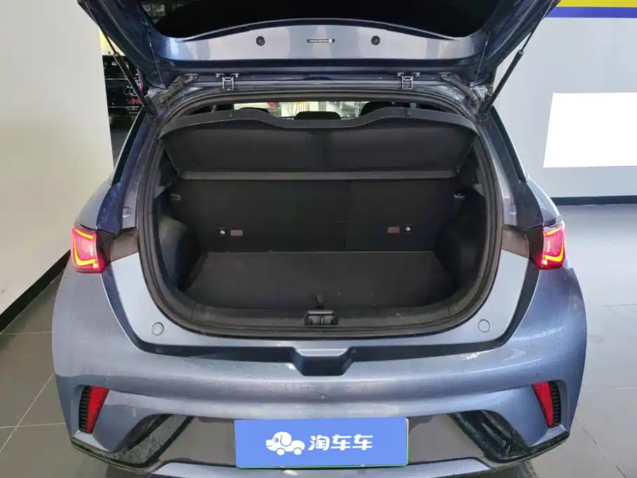 BYD Dolphin — миниатюра 4