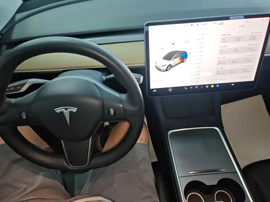 Tesla Model Y — миниатюра 10