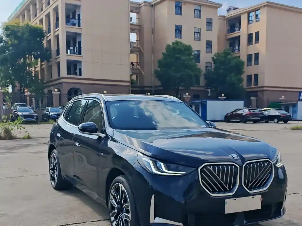 BMW X3 — миниатюра 3