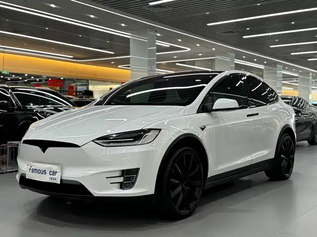 TESLA MODEL X 2019