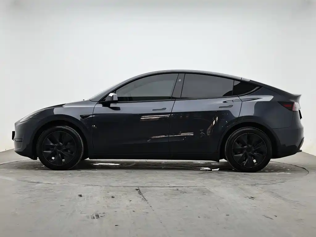 Tesla Model Y — миниатюра 6
