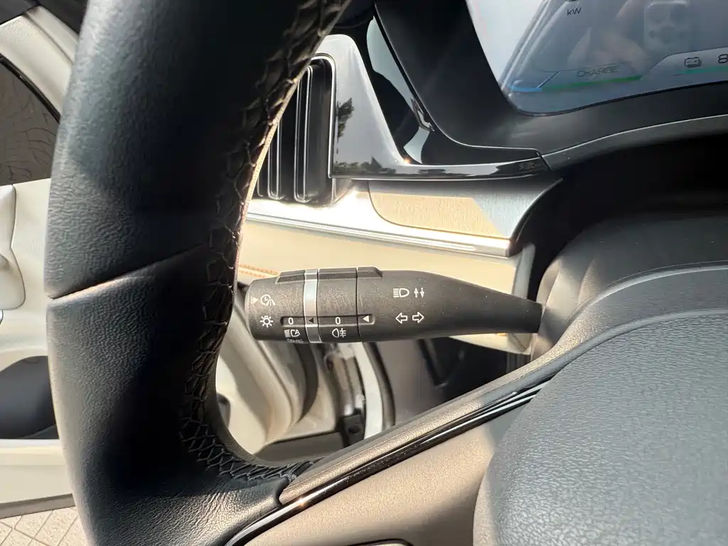BYD PLUS New Energy — миниатюра 24