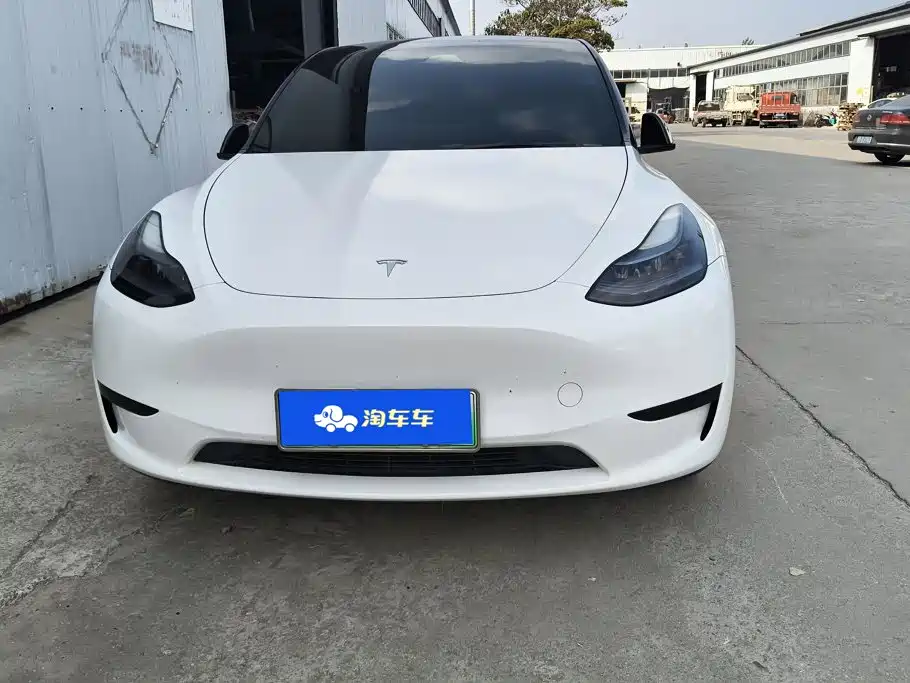 Tesla Model Y — миниатюра 2