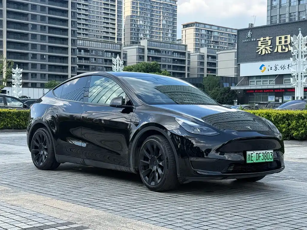 Tesla Model Y — миниатюра 3