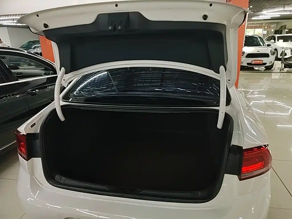 Volkswagen Lamando — миниатюра 19