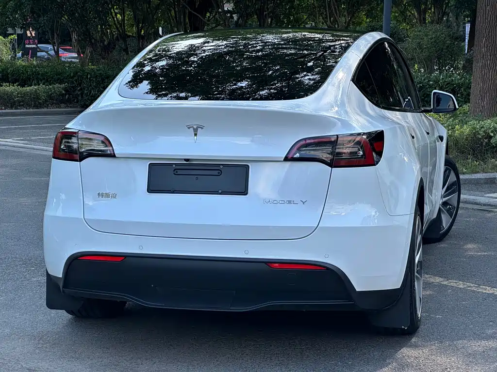 Tesla Model Y — миниатюра 7