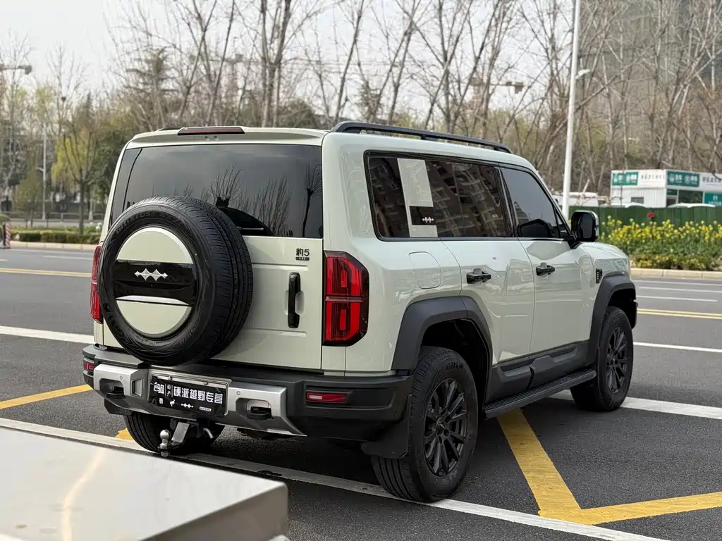 FANG CHENG BAO LEOPARD 5