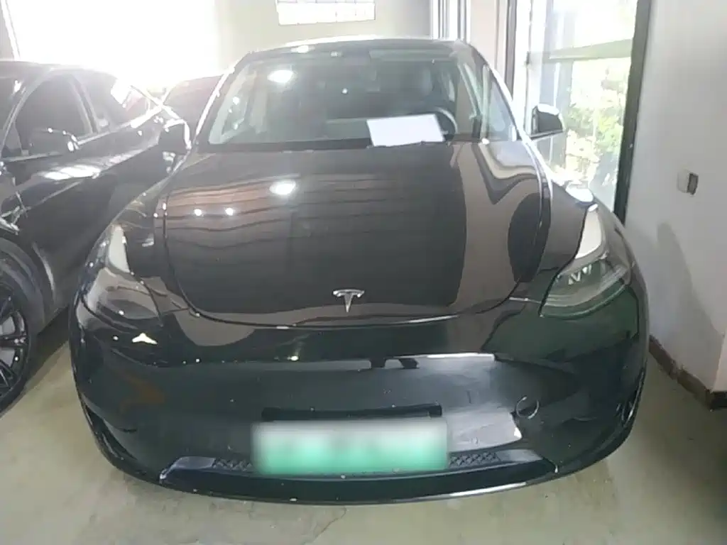 Tesla Model Y — миниатюра 3