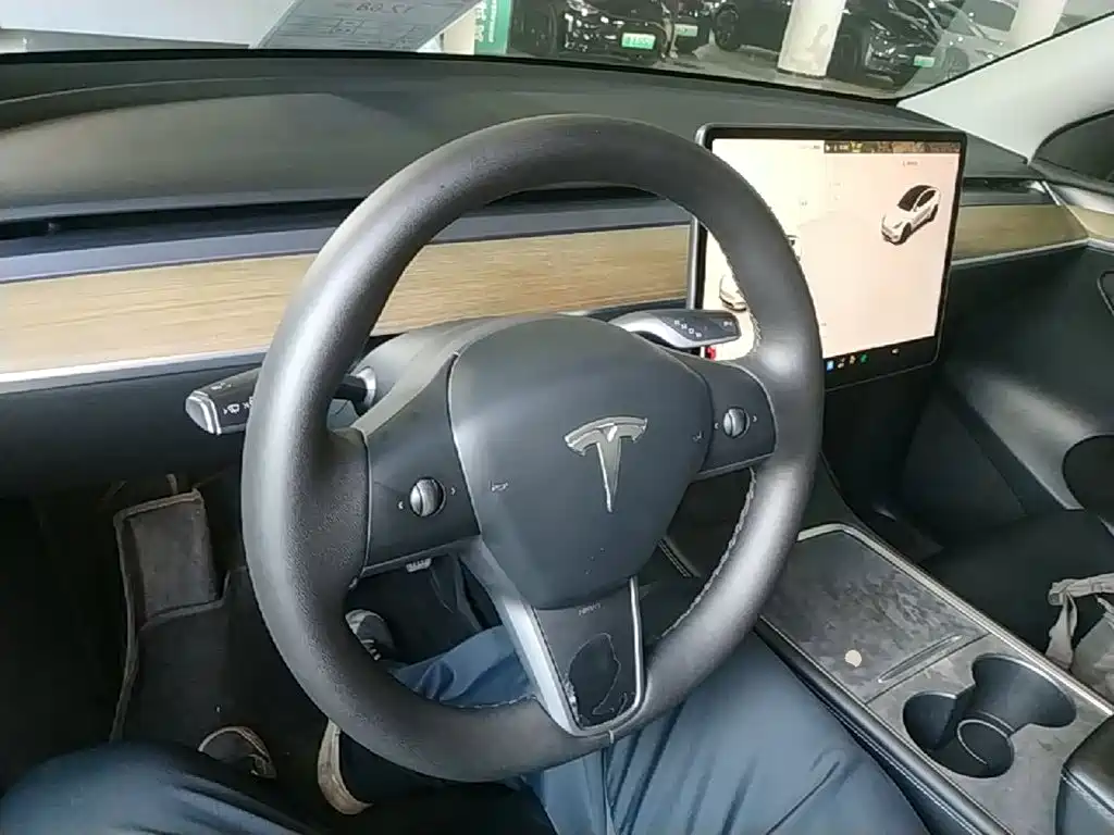 Tesla Model Y — миниатюра 10