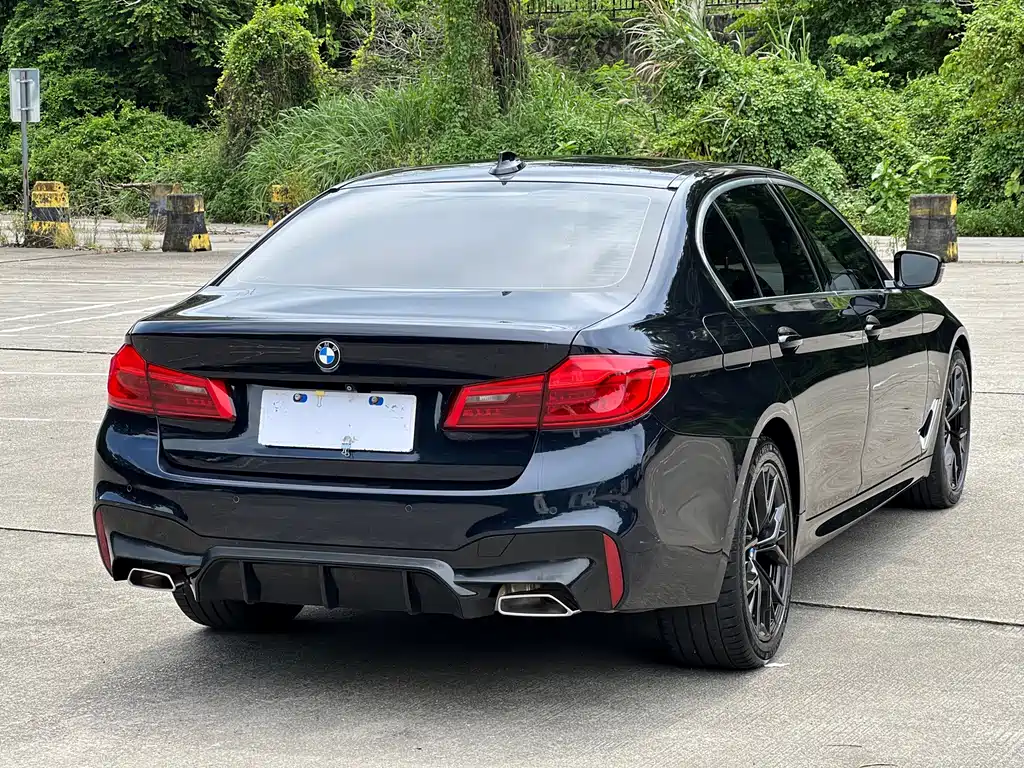 BMW 5 Series — миниатюра 4