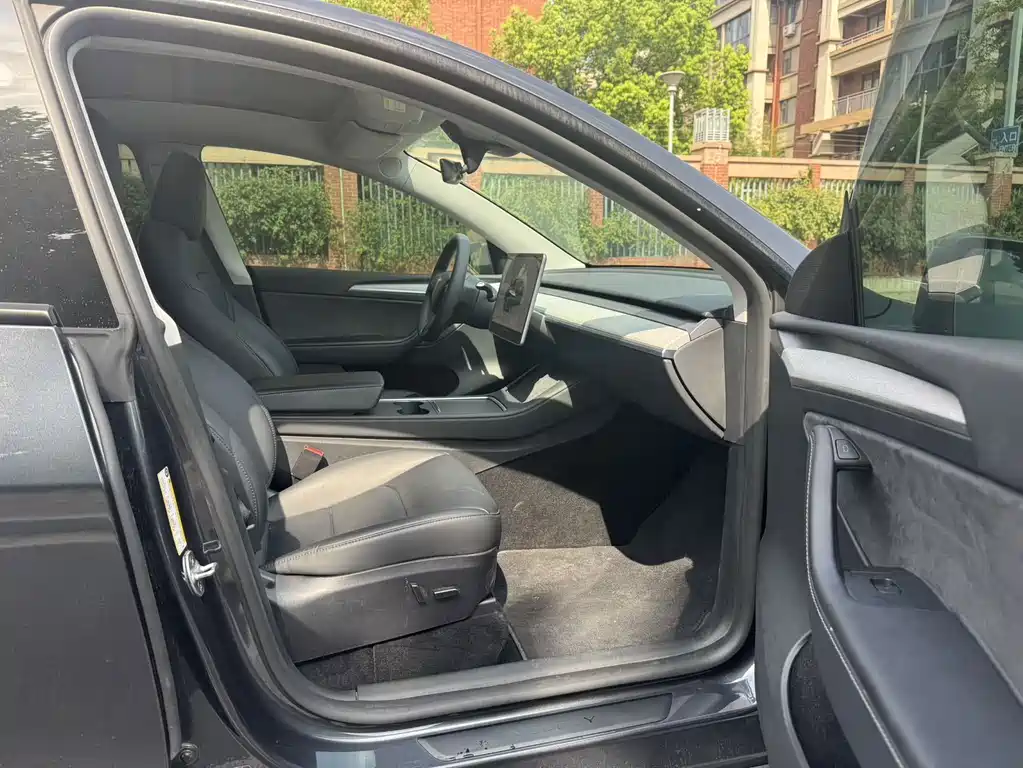 Tesla Model Y — миниатюра 4