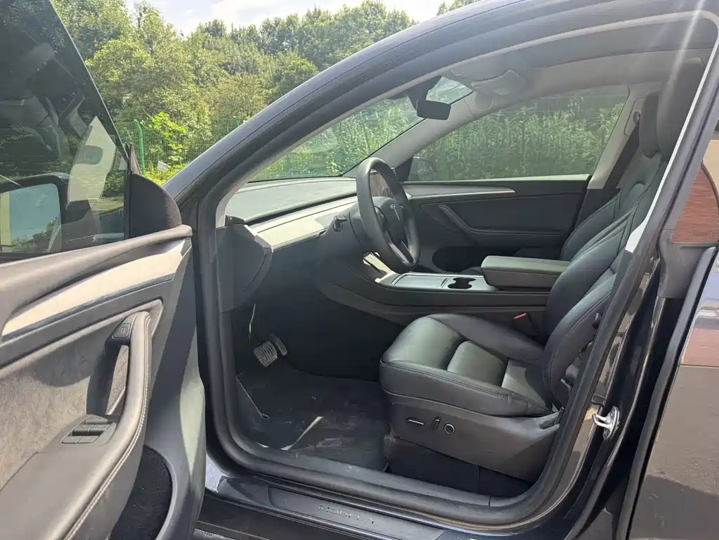 Tesla Model Y — миниатюра 7