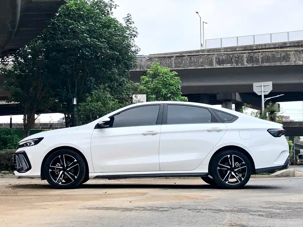 GEELY AUTOMOBILE BINRUI