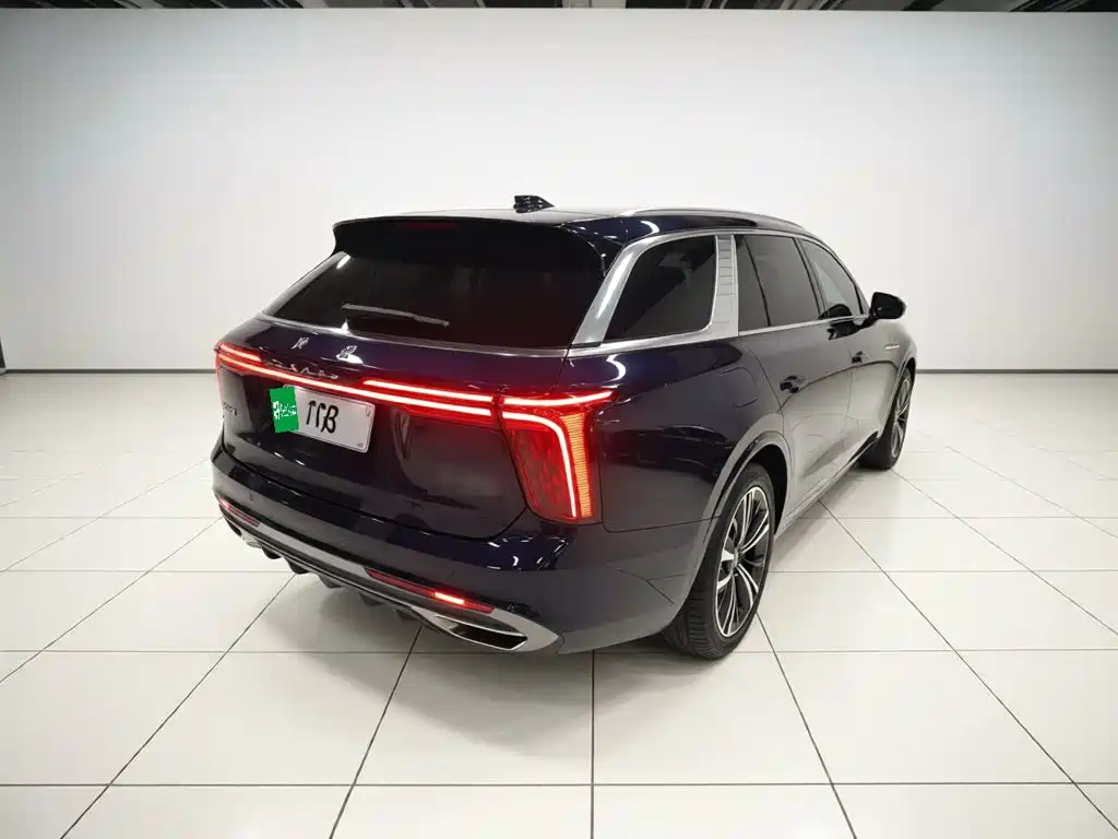 Hongqi E-HS9 2022 660km мест