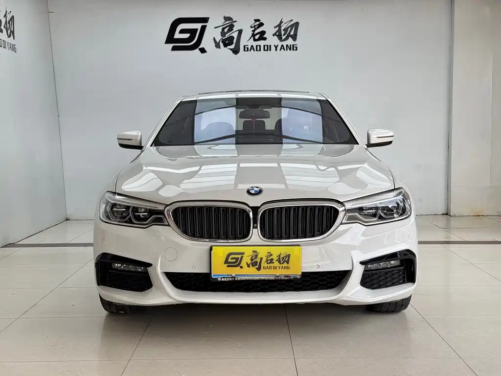 BMW 5 Series — миниатюра 2