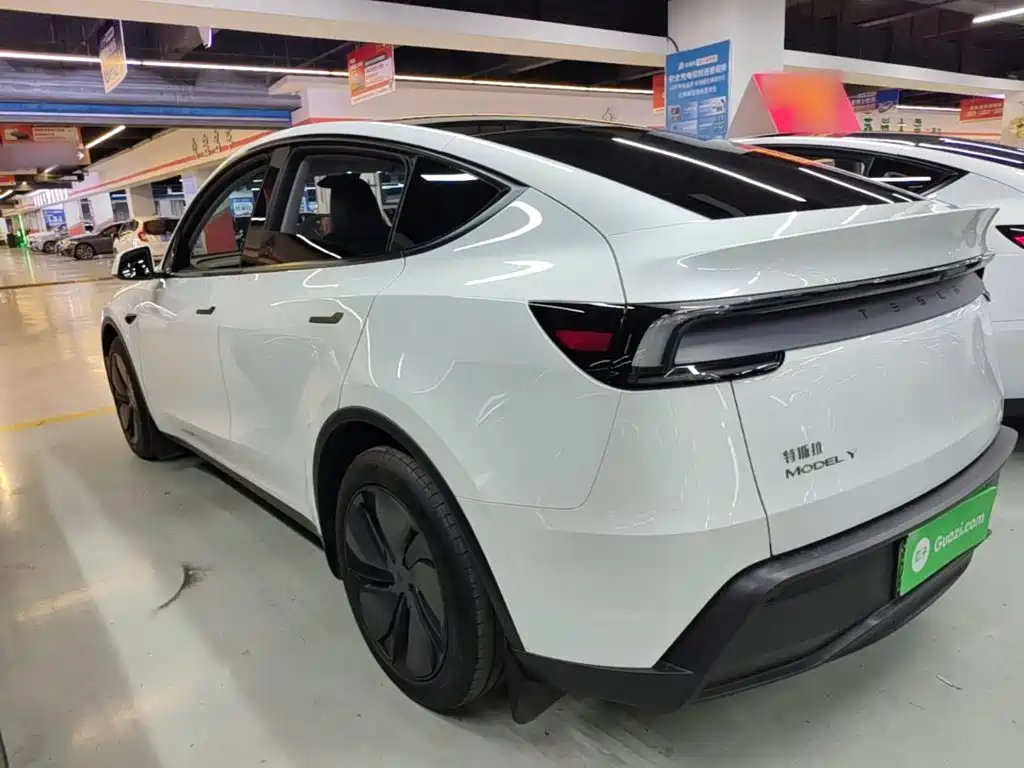 Tesla Model Y — миниатюра 5
