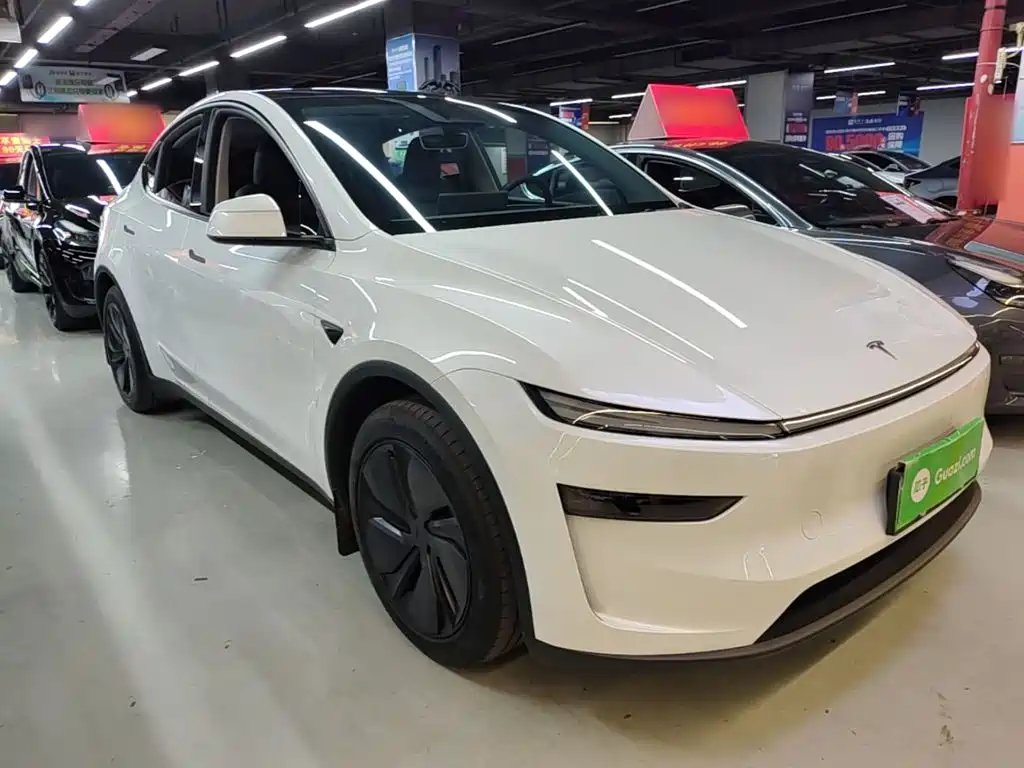 Tesla Model Y — миниатюра 4