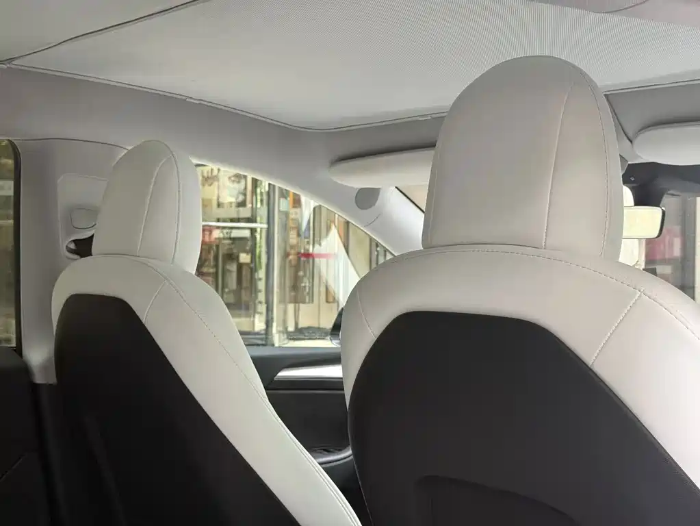 Tesla Model Y — миниатюра 12