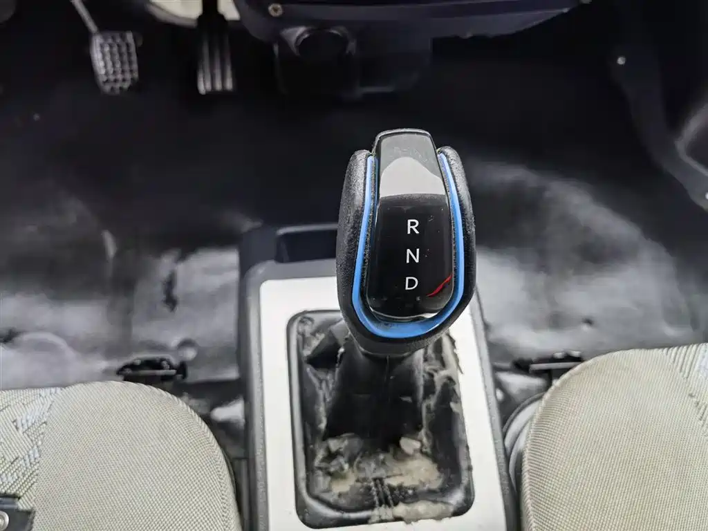 DONGFENG DONGFENG RUITAITE EM10