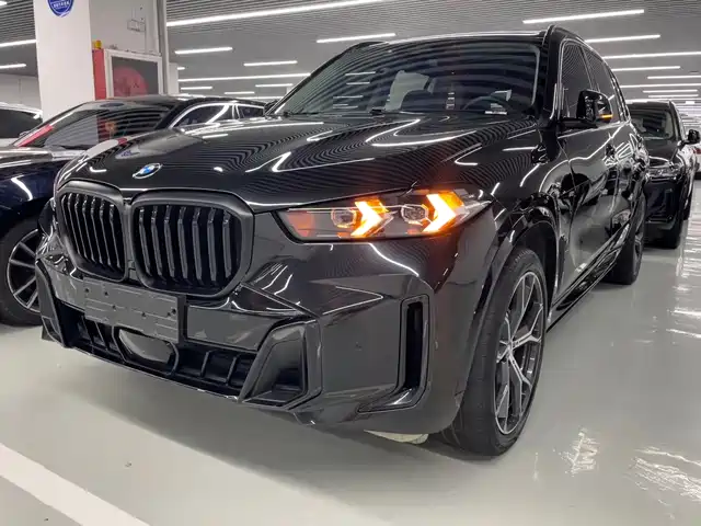 BMW X — фото 1