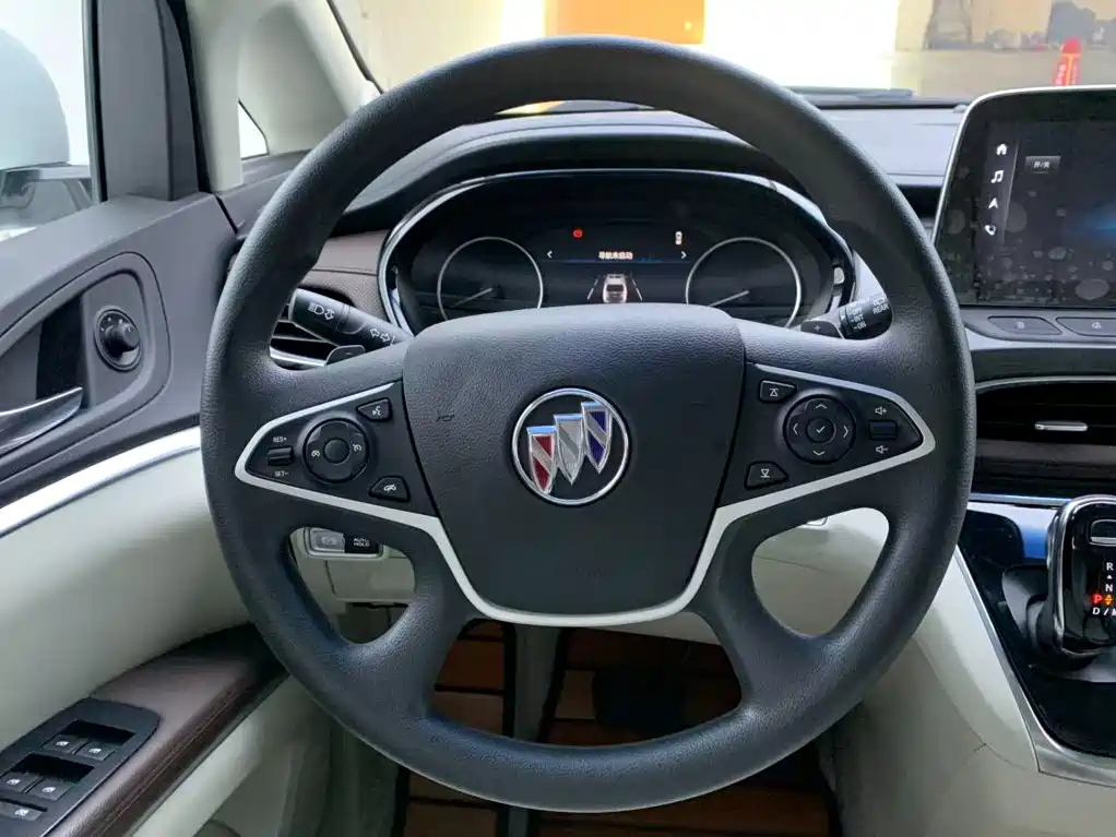 Buick GL8 — миниатюра 16
