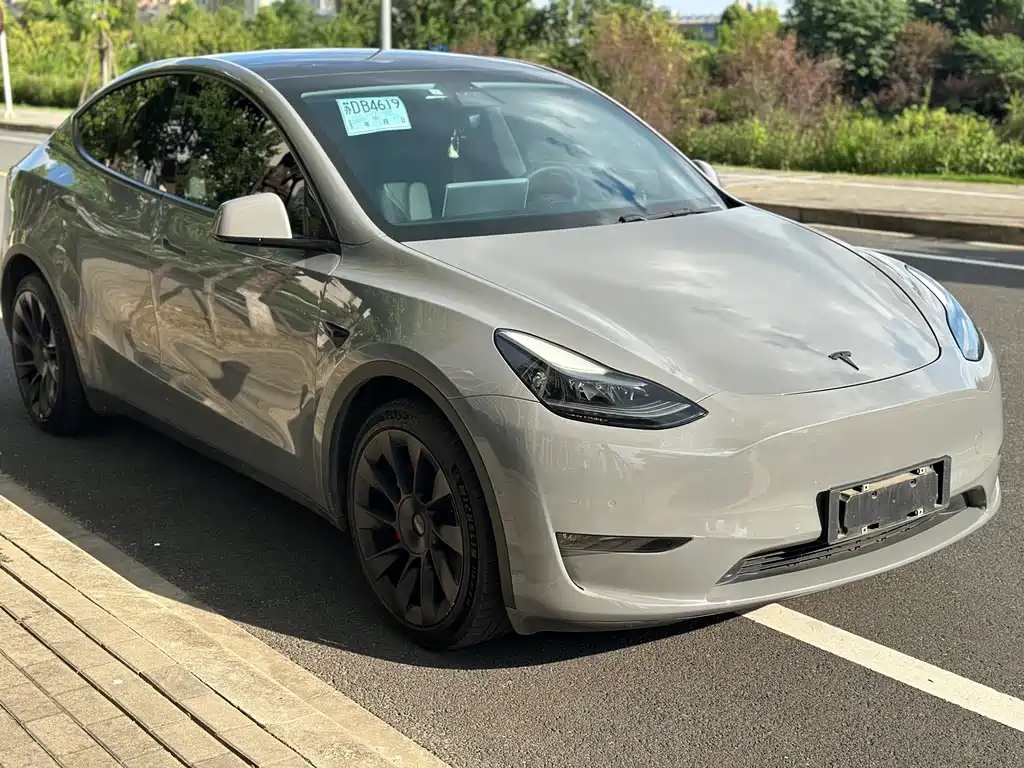 Tesla Model Y — миниатюра 18