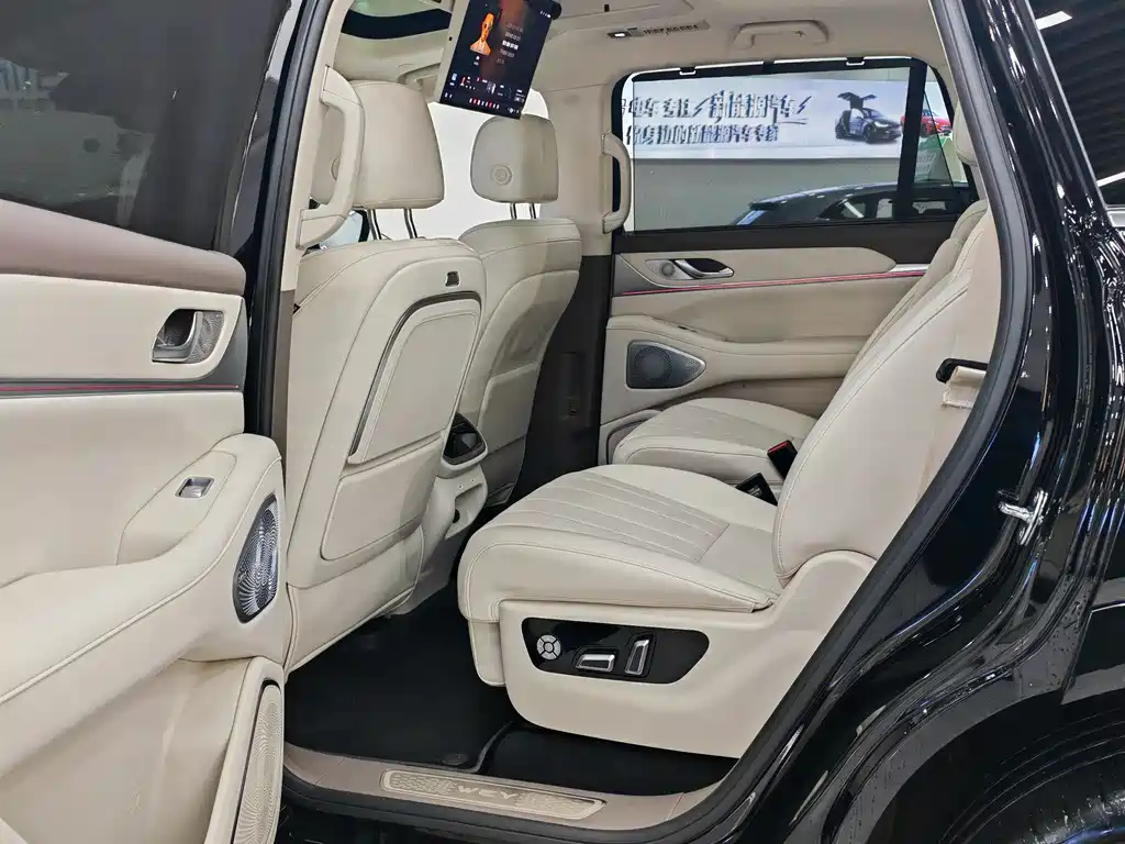 WEI PAI WEI BRAND BLUE MOUNTAIN