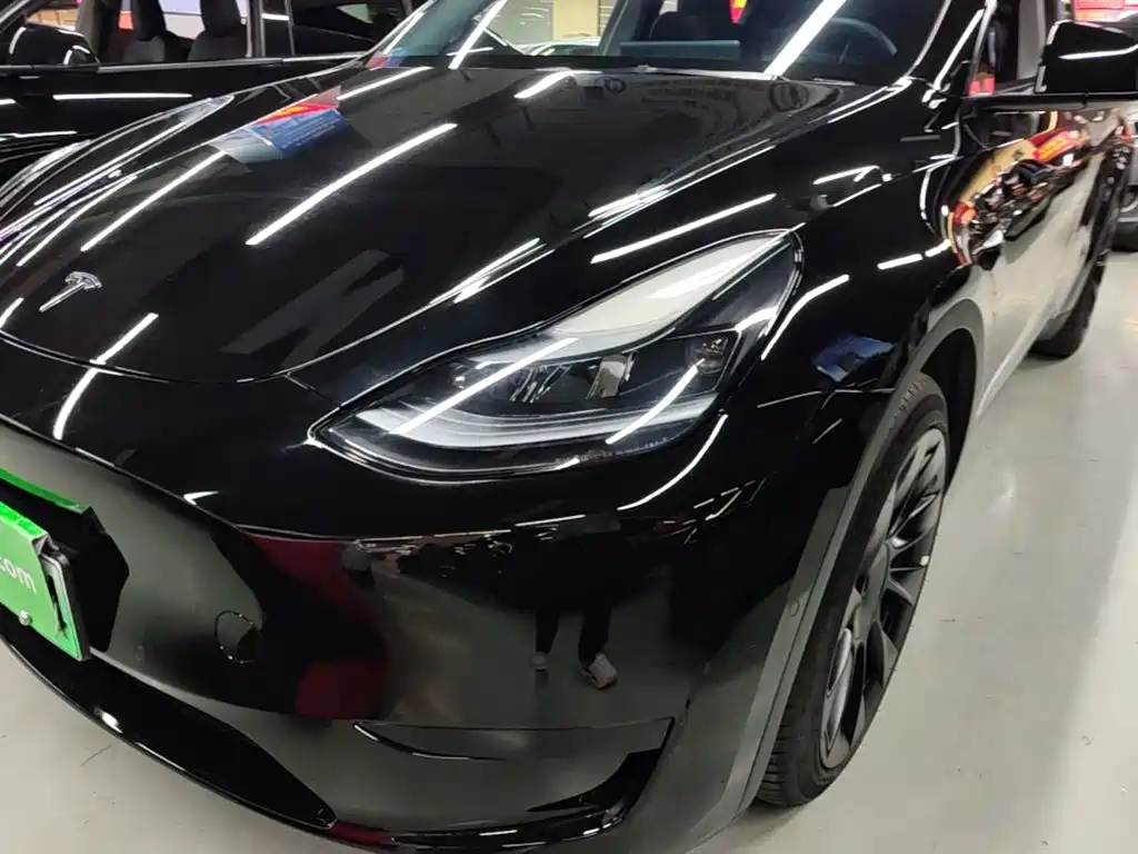 Tesla Model Y — миниатюра 24
