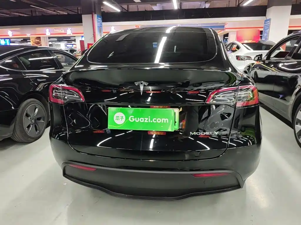 Tesla Model Y — миниатюра 6