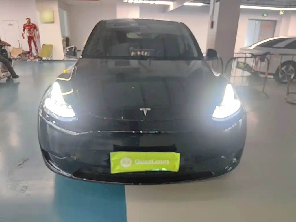 Tesla Model Y — миниатюра 3