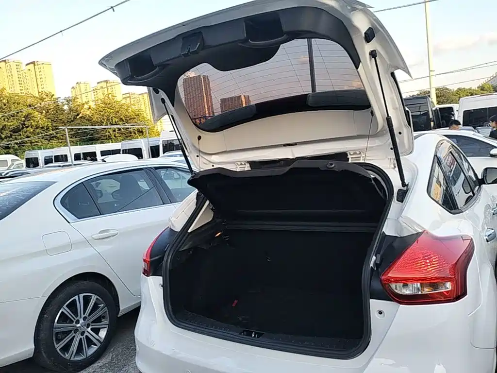 Ford Focus — миниатюра 19