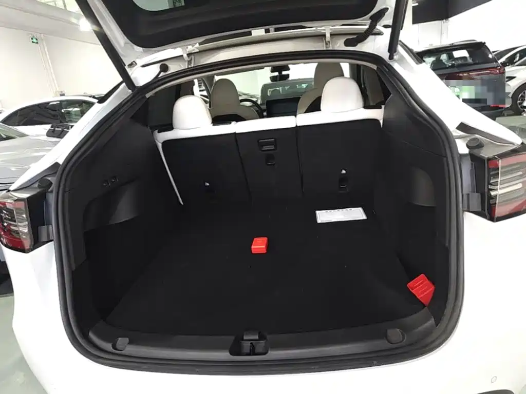 Tesla Model Y — миниатюра 19