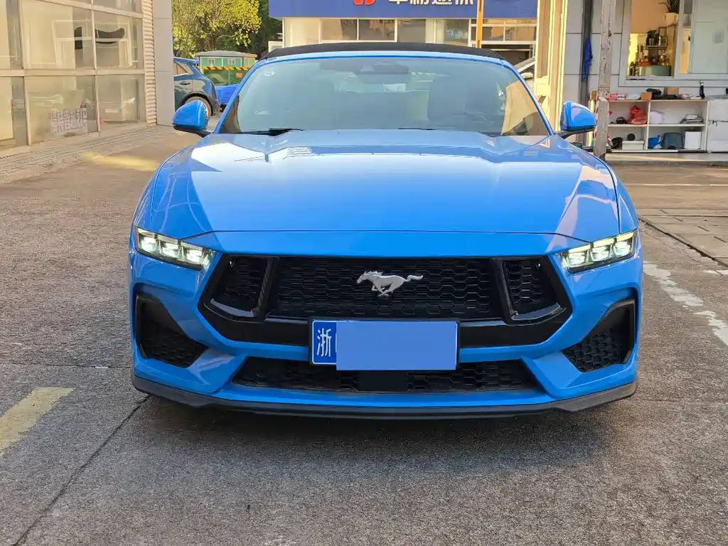 Ford Mustang — миниатюра 2