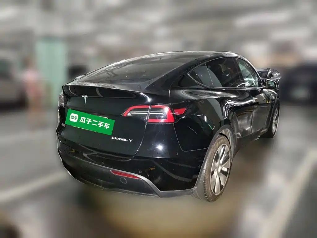 Tesla Model Y — миниатюра 4