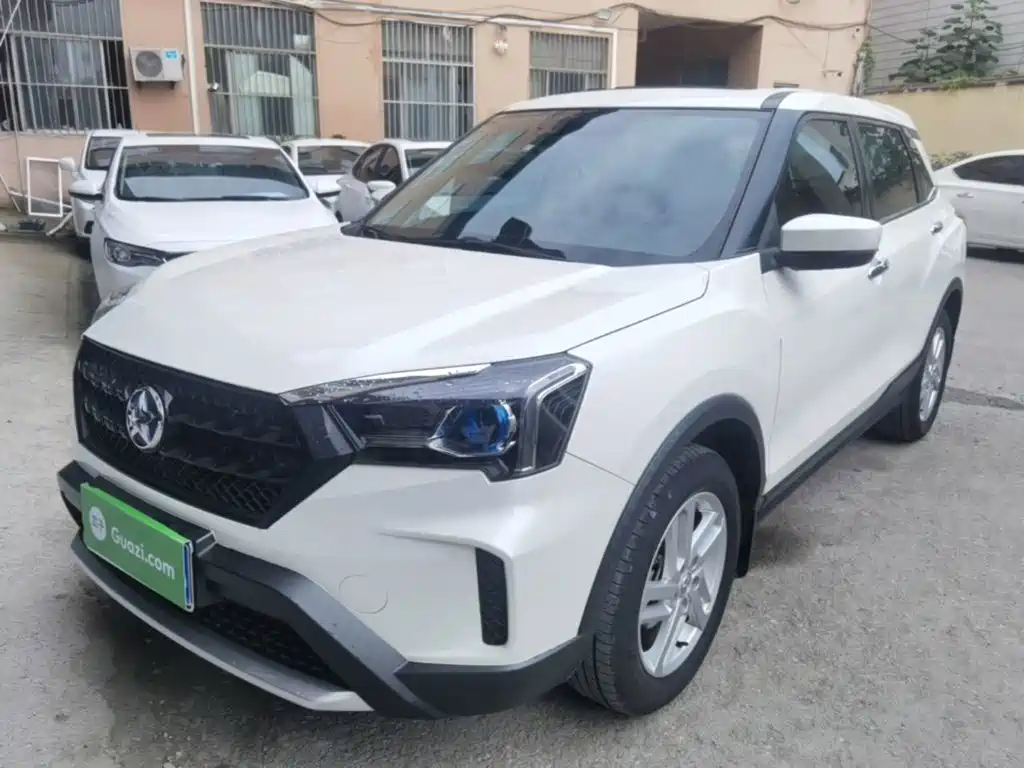 Venucia T60