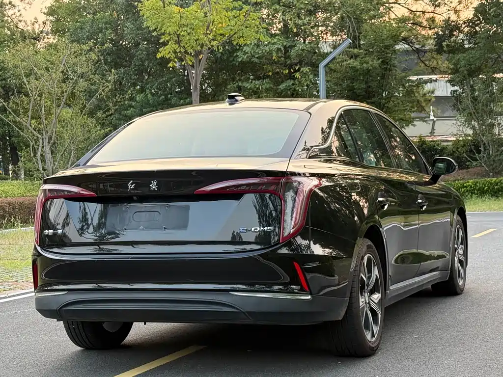 Hongqi Hongqi E-QM5 — миниатюра 4