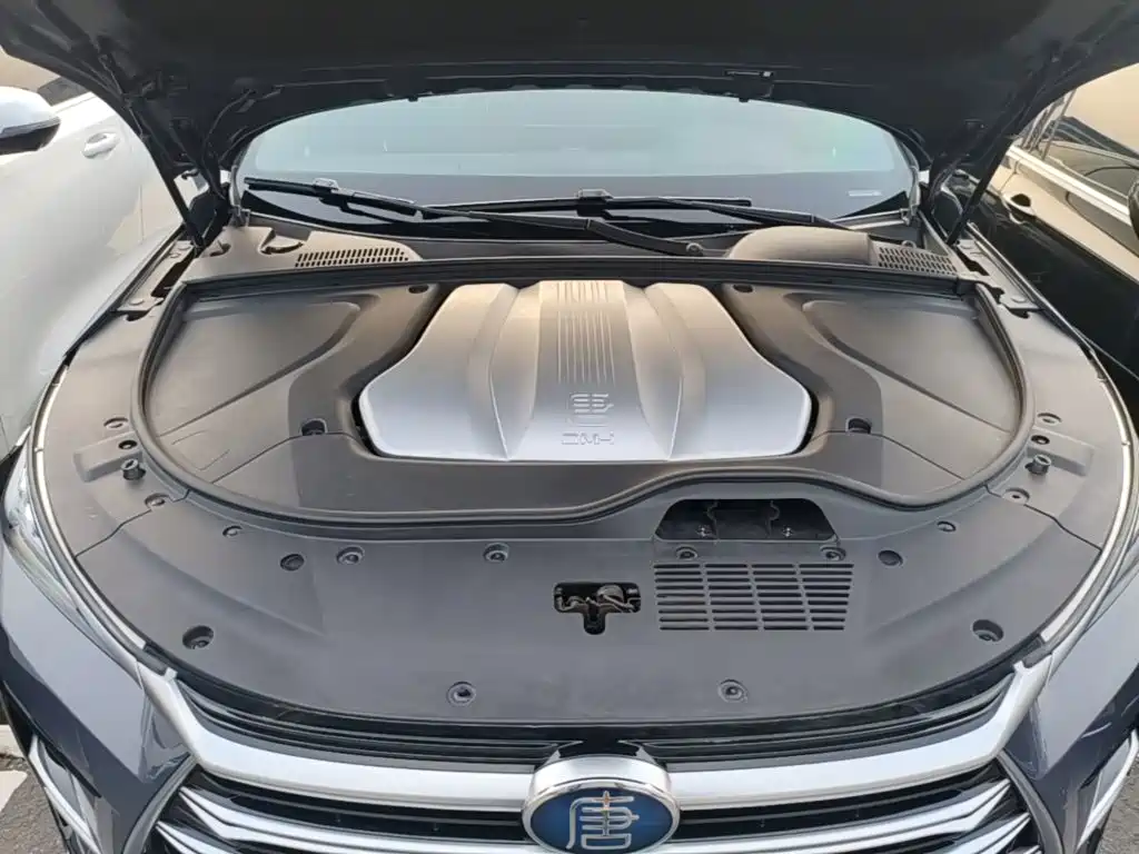 BYD Tang New Energy — миниатюра 20