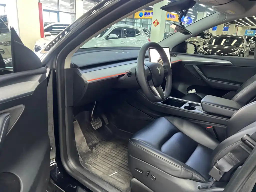 Tesla Model Y — миниатюра 6