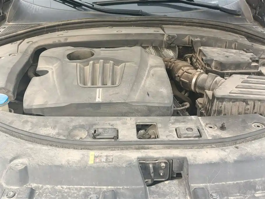 WEI PAI WEI BRAND VV7