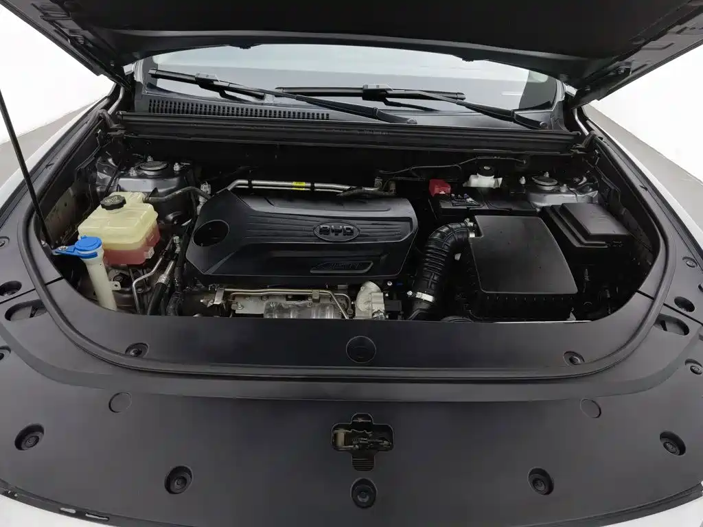 BYD Pro — миниатюра 6