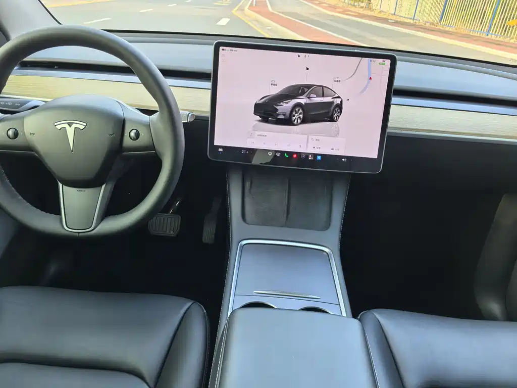 Tesla Model Y — миниатюра 10
