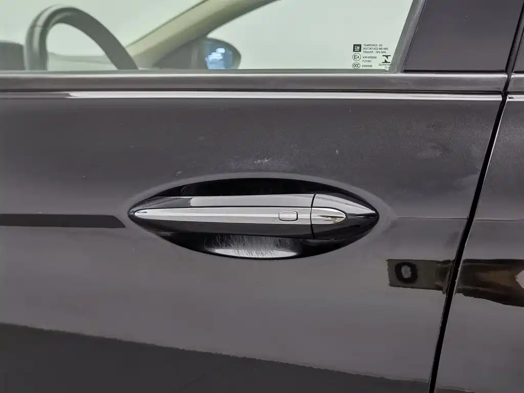 Buick Regal — миниатюра 18